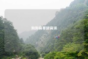 狗狗鼻塞脓鼻涕