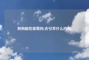 狗狗能吃韭菜吗(会引发什么问题)
