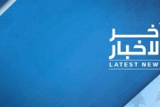 كيف تختار أرخص كلب يناسب نمط حياتك؟ دليل شامل