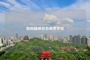 狗狗精神状态突然不佳