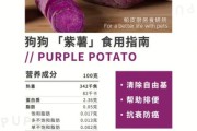 狗能不能吃紫薯,狗狗可以吃紫薯吗煮熟的