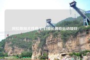 阿拉斯加犬性格(它们擅长哪些运动项目)