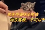 带小猫可以坐地铁吗,猫可以坐地铁吗放背包