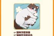 猫咪生产后怎么护理,猫咪生产前兆