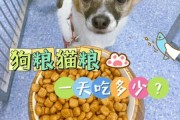 猫粮狗可以吃吗吃了没事吧,猫粮狗可以吃吗狗粮猫可以吃吗