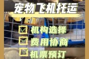宠物跟随主人飞机托运多少钱(宠物怎么跟人一起坐飞机)