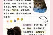 猫咪敏感易应激,猫咪应激反应影响猫儿健康