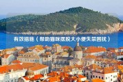 有效措施（帮助猫咪摆脱大小便失禁困扰）