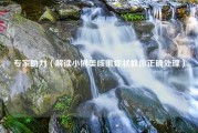 专家助力（解读小博美咳嗽症状教你正确处理）