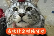 高铁可以带宠物鸟吗,高铁可以带宠物鱼吗活的