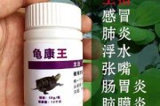 乌龟感冒的症状表现,乌龟感冒肺炎用什么药最好