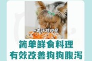 狗可以吃姜片吗,狗狗吃姜了要怎么补救