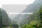 猫能吃榴莲吗(猫咪能吃榴莲吗)