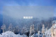 博美京巴