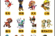 可卡吃什么狗粮好？选对狗粮可卡的毛发更好看！