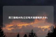荷兰猪喝水吗(它们每天需要喝多少水)