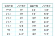 猫可以活多少年(猫咪的寿命能达到多少年)