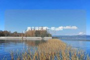 两个月比熊 一顿100粒