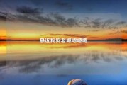 最近狗狗老嗯嗯嗯嗯
