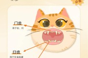 猫咪牙齿根部发红,猫咪牙齿年龄图对照表