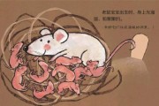 老鼠多久生一窝孩子,老鼠多久生一窝相逢的