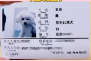 网上怎么申请办犬证,北京狗证怎么办理每年交多少钱