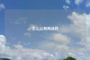 怎么让狗狗涂药