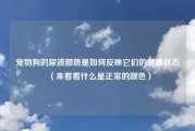 宠物狗的尿液颜色是如何反映它们的健康状态（来看看什么是正常的颜色）
