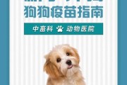 狗狗细小疫苗接种指南：如何正确预防犬细小病毒