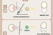 猫指甲怎么剪,猫指甲剪怎么用
