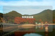 狗狗流涎臭