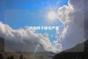 狗狗脖子掉毛严重