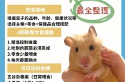 饮食指南与食物推荐(为小仓鼠提供营养健康饮食)