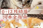 小猫断奶最佳时机(幼猫恰当断奶时间及护理注意事项)