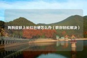 狗狗皮肤上长红包硬怎么办（教你轻松解决）