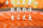 狗可不可以吃三文鱼,狗能吃三文鱼吗为什么