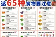 猫可以吃红枣吗,熟的,猫可以吃红枣吗枸杞吗