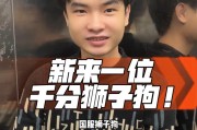 狮子狗多少钱一只 中国(狮子狗多少钱一只 白黄色)