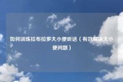 如何训练拉布拉多大小便听话（有效解决大小便问题）