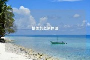 博美怎么测体温