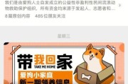 领养狗是什么意思,领养狗的平台