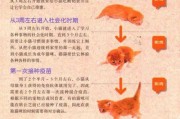 猫一胎生几只 第几只比较好,猫一胎生几只和什么有关