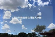怎么训练比熊在外面大小便