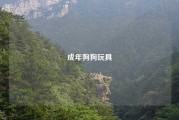 成年狗狗玩具