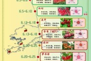 车厘子出产时间,12月车厘子是反季节吗