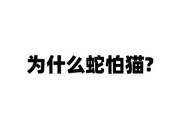 猫怕蛇还是蛇怕猫,猫怕蛇吗视频