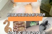 想养宠物又怕麻烦？12种最适合懒人养的宠物！