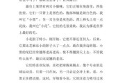 猫的优点作文,狸花猫的优点
