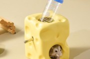 仓鼠怎么喂水视频,仓鼠怎么喂水没饮水器