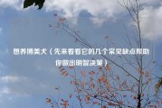 想养博美犬（先来看看它的几个常见缺点帮助你做出明智决策）